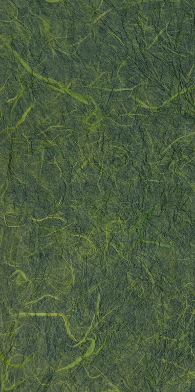 Spyderco Ambitious Ambitious Lightweight Black