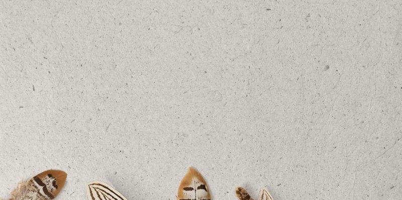 Spyderco Cara Cara 2