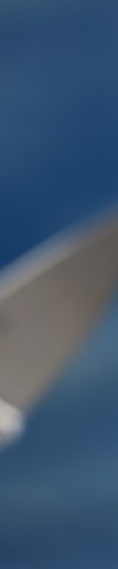 Spyderco Dragonfly Foliage Green