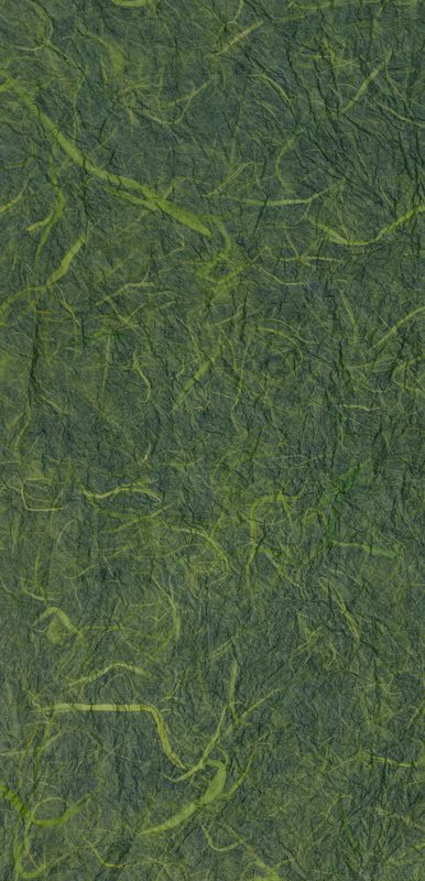 Spyderco Tenacious Family Clipit Tenacious Black